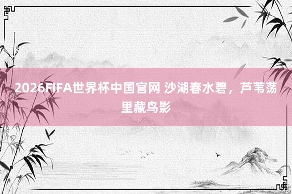 2026FIFA世界杯中国官网 沙湖春水碧，芦苇荡里藏鸟影