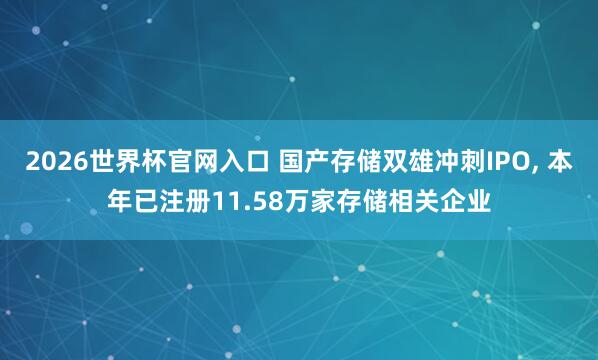 2026世界杯官网入口 国产存储双雄冲刺IPO, 本年已注册11.58万家存储相关企业