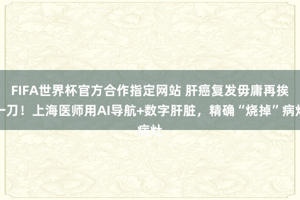 FIFA世界杯官方合作指定网站 肝癌复发毋庸再挨一刀!上海医师用AI导航+数字肝脏,精确“烧掉”病灶