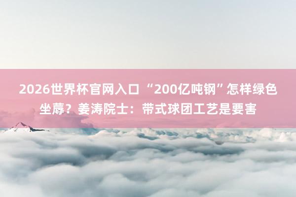 2026世界杯官网入口 “200亿吨钢”怎样绿色坐蓐？姜涛院士：带式球团工艺是要害