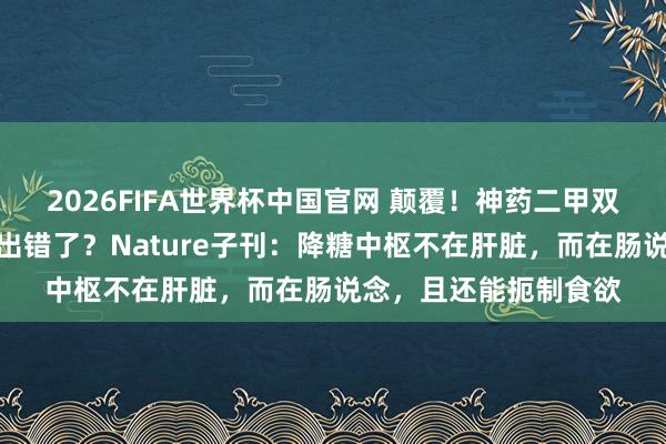 2026FIFA世界杯中国官网 颠覆!神药二甲双胍,经典降糖机制竟出错了?Nature子刊:降糖中枢不在肝脏,而在肠说念,且还能扼制食欲